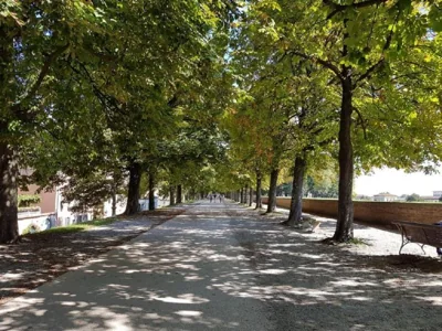 CozyBricks Lucca - City Center Apt - Feel Lucca - Live Local - Sleep Quiet - AC & WiFi – Photos 6
